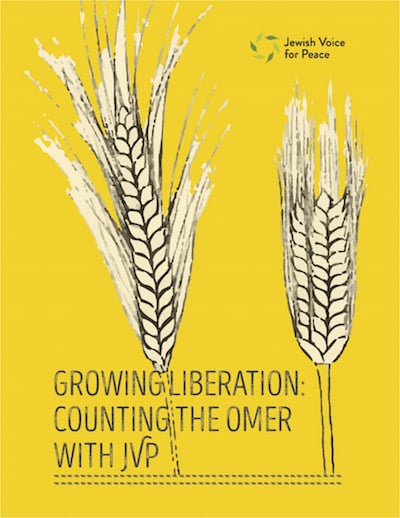 Omer-Cover-Image Omer-Cover-Image