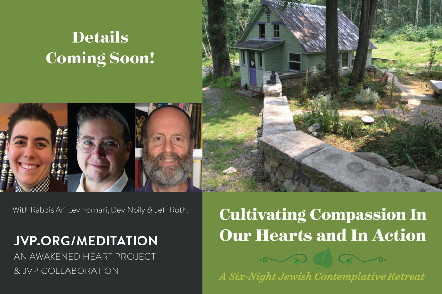 Summer-Meditation-Postcard-front-coming-soon Summer-Meditation-Postcard-front-coming-soon