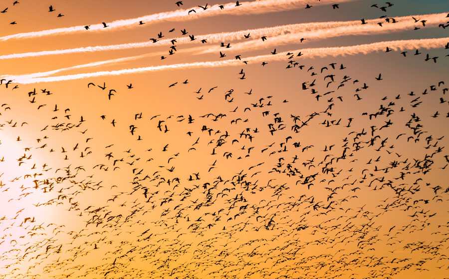 barth-bailey-534083-unsplash barth-bailey-534083-unsplash