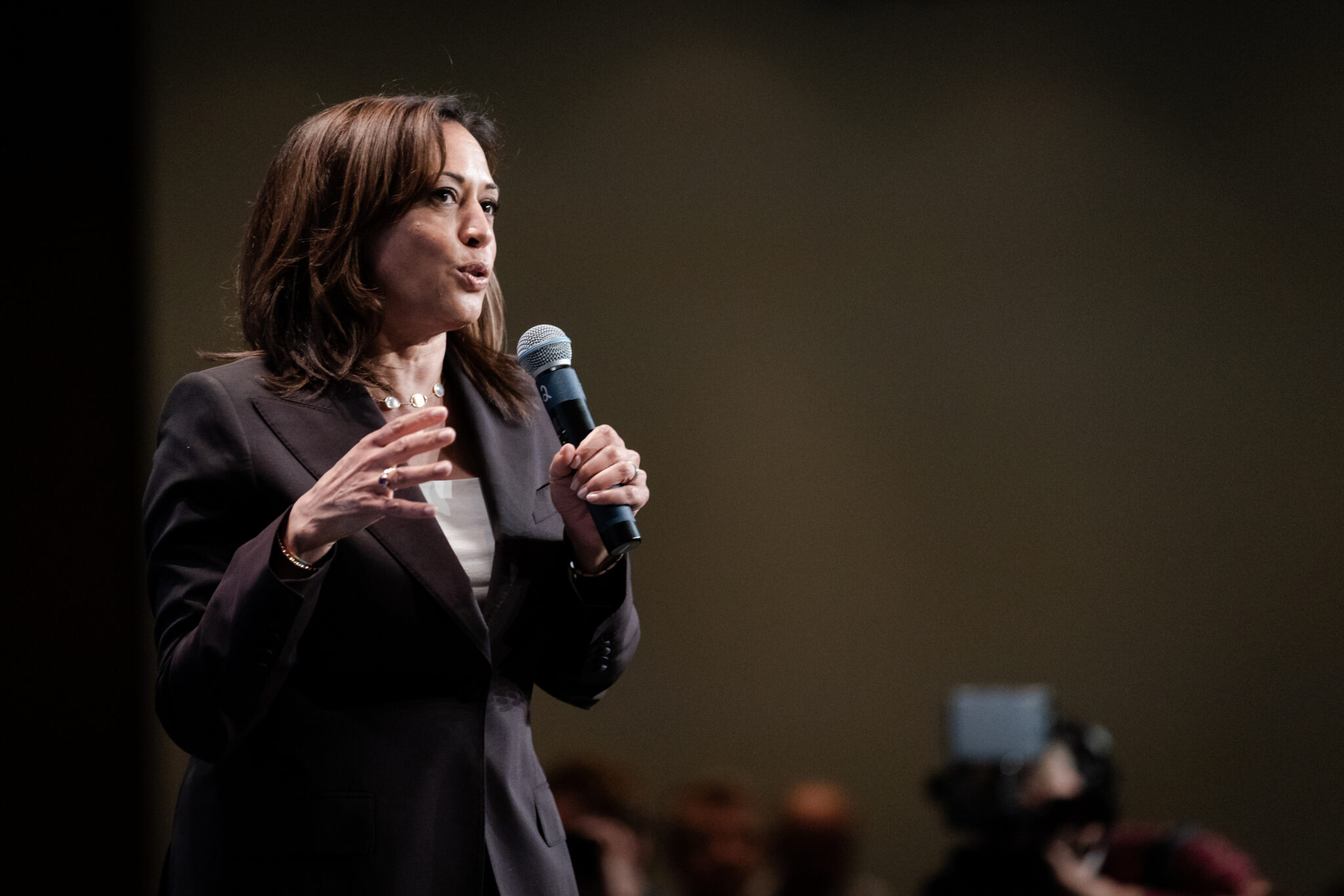 Kamala_Harris <a href="https://commons.wikimedia.org/wiki/File:Kamala_Harris_(48221235642).jpg">Kamala Harris
</a> by Lorie Shaull, used under Creative Commons Attribution-Share Alike 2.0 Generic.