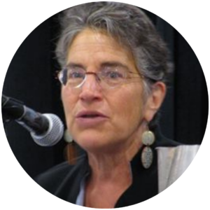 Phyllis Bennis, Institute for Policy Studies